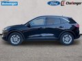 Daumennagel 13 - Ford Kuga 2.5 l Duratec Hybrid (FHEV) 4WD Titanium X Autom. NAVI/B&O/DAB FAHRASSISTENZ/TECHNOLOGIE/WINTER-PAKET el. HECKKLAPPE KLIMAAUTOMATIK