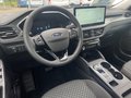 Daumennagel 10 - Ford Kuga Titanium