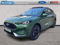 Daumennagel 1 - Ford Kuga PHEV ST-Line X