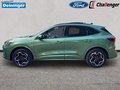 Daumennagel 2 - Ford Kuga PHEV ST-Line X
