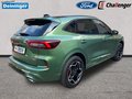 Daumennagel 5 - Ford Kuga PHEV ST-Line X