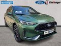 Daumennagel 7 - Ford Kuga PHEV ST-Line X