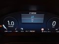 Daumennagel 22 - Ford Focus ST X