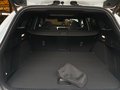 Daumennagel 24 - Ford Focus ST X