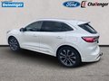 Daumennagel 4 - Ford Kuga 2.5 l Duratec Plug-In Hybrid (PHEV) Vignale Autom. NAVI/B&O/DAB AHK FAHRASSISTENZ/TECHNOLOGIE/WINTER-PAKET el. HECKKLAPPE LMF 20``