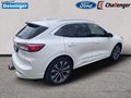 Daumennagel 7 - Ford Kuga 2.5 l Duratec Plug-In Hybrid (PHEV) Vignale Autom. NAVI/B&O/DAB AHK FAHRASSISTENZ/TECHNOLOGIE/WINTER-PAKET el. HECKKLAPPE LMF 20``