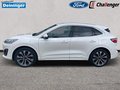 Daumennagel 3 - Ford Kuga 2.5 l Duratec Plug-In Hybrid (PHEV) Vignale Autom. NAVI/B&O/DAB AHK FAHRASSISTENZ/TECHNOLOGIE/WINTER-PAKET el. HECKKLAPPE LMF 20``