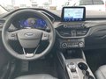 Daumennagel 12 - Ford Kuga 2.5 l Duratec Plug-In Hybrid (PHEV) Vignale Autom. NAVI/B&O/DAB AHK FAHRASSISTENZ/TECHNOLOGIE/WINTER-PAKET el. HECKKLAPPE LMF 20``