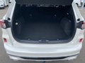Daumennagel 24 - Ford Kuga 2.5 l Duratec Plug-In Hybrid (PHEV) Vignale Autom. NAVI/B&O/DAB AHK FAHRASSISTENZ/TECHNOLOGIE/WINTER-PAKET el. HECKKLAPPE LMF 20``