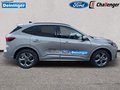 Daumennagel 7 - Ford Kuga 2.5 l Duratec Plug-In Hybrid ST-LINE Autom. AHK PANORAMASCHIEBEDACH TECHNOLOGIE/WINTER-PAKET