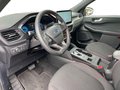 Daumennagel 10 - Ford Kuga 2.5 l Duratec Plug-In Hybrid ST-LINE Autom. AHK PANORAMASCHIEBEDACH TECHNOLOGIE/WINTER-PAKET