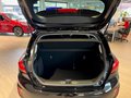 Daumennagel 4 - Ford Fiesta Titanium