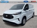 Daumennagel 1 - Ford 320L1 Trend Kastenwagen