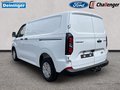 Daumennagel 3 - Ford 320L1 Trend Kastenwagen