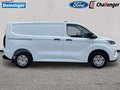 Daumennagel 6 - Ford 320L1 Trend Kastenwagen