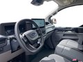 Daumennagel 10 - Ford 320L1 Trend Kastenwagen
