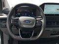 Daumennagel 11 - Ford 320L1 Trend Kastenwagen