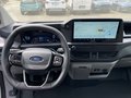 Daumennagel 12 - Ford 320L1 Trend Kastenwagen