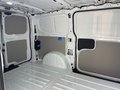 Daumennagel 23 - Ford 320L1 Trend Kastenwagen