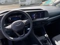 Daumennagel 12 - Ford Transit Connect L1 Trend