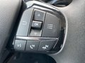 Daumennagel 22 - Ford Fiesta 1.0 l EcoBoost Cool & Connect RADIO/B&O EASY-DRIVER/WINTER-PAKET