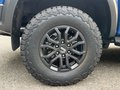 Daumennagel 9 - Ford Ranger Raptor V6