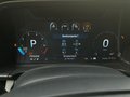 Daumennagel 19 - Ford Ranger Raptor V6