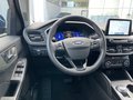 Daumennagel 12 - Ford Kuga 2.5 l Duratec Plug-In Hybrid Titanium Autom. NAVI/DAB/RF WINTER-PAKET TEMPOMAT KLIMAAUTOMATIK LED-SCHEINWERFER