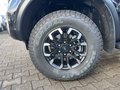 Daumennagel 9 - Ford DK Wildtrak X Metallic