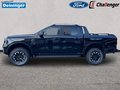 Daumennagel 2 - Ford DK Wildtrak X Metallic
