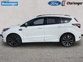 Daumennagel 2 - Ford Kuga 2.0 l TDCi 4x4 ST-Line Autom. AHK Bi-XENON PANORAMADACH NAVI/RFK WINTER-PAKET TEMPOMAT KLIMAAUTOMATIK