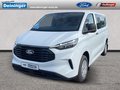 Daumennagel 1 - Ford Transit Custom Kombi 320L1 Trend