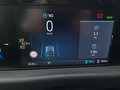 Daumennagel 18 - Ford Tourneo Custom Sport 340L1 Panoramadach