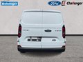 Daumennagel 4 - Ford 320L2 Trend Kastenwagen