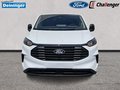 Daumennagel 8 - Ford 320L2 Trend Kastenwagen