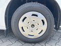 Daumennagel 9 - Ford 320L2 Trend Kastenwagen