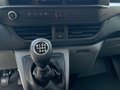 Daumennagel 13 - Ford 320L2 Trend Kastenwagen