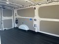 Daumennagel 22 - Ford 320L2 Trend Kastenwagen