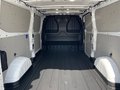 Daumennagel 23 - Ford 320L2 Trend Kastenwagen