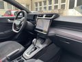 Daumennagel 13 - Ford Puma ST-Line X
