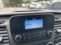 Daumennagel 20 - Ford Transit Kasten 2.0 l EcoBlue Trend 350 L3H3 Autom. RADIO/DAB TECHNOLOGIE/EXPRESS-LINE-PAKET TEMPOMAT PDC