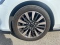 Daumennagel 15 - Ford Focus Turnier 1.0 EcoBoost Titanium X NAVI/RFK EASY-PARKING/WINTER-PAKET LMF 17``