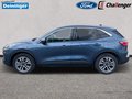Daumennagel 2 - Ford Kuga 2.5 l Duratec Plug-In Hybrid (PHEV) Titanium X Autom. NAVI/DAB/B&O FAHRASSISTENZ/WINTER-PAKET PANORAMA-SCHIEBEDACH