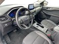 Daumennagel 10 - Ford Kuga 2.5 l Duratec Plug-In Hybrid (PHEV) Titanium X Autom. NAVI/DAB/B&O FAHRASSISTENZ/WINTER-PAKET PANORAMA-SCHIEBEDACH