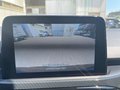 Daumennagel 26 - Ford Kuga 2.5 l Duratec Plug-In Hybrid ST-Line X Autom. NAVI/DAB/B&O AHK PANORAMASCHIEBDACH FAHRASSISTENZ/TECHNOLOGIE/WINTER/ST-STYLING-PAKET LMF 19``