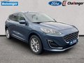 Daumennagel 7 - Ford Kuga 2.5 l Duratec Plug-In Hybrid Vignale Autom. NAVI/DAB/B&O FAHRASSISTENZ/WINTER/TECHNOLOGIE-PAKET el. HECKKLAPPE