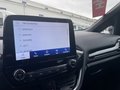 Daumennagel 16 - Ford Fiesta 1.0 l EcoBoost Hybrid (MHEV) ST-Line X NAVI&DAB&RFK LED-SCHEINWERFER WINTER/SICHERHEITS/SICHT-PAKET TEMPOMAT