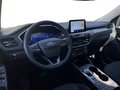 Daumennagel 25 - Ford Kuga 2.5 l Duratec Plug-In Hybrid Titanium Autom. NAVI/DAB/RFK AHK PANORAMA-SCHIEBEDACH WINTER-PAKET TEMPOMAT KLIMAAUTOMATIK