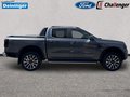 Daumennagel 6 - Ford Ranger Platimum