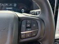 Daumennagel 22 - Ford Ranger Platimum